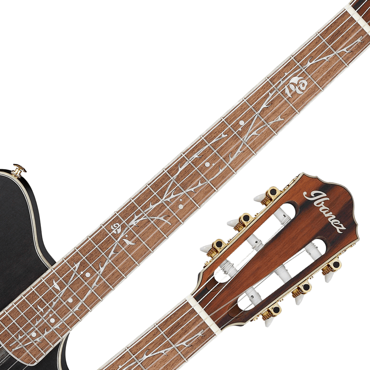 Amazon | IBANEZ TOD10N-TKF Tim Henson Signature Model