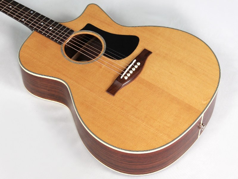 EASTMAN イーストマン PCH2-GACE Thermo-Cure Natural