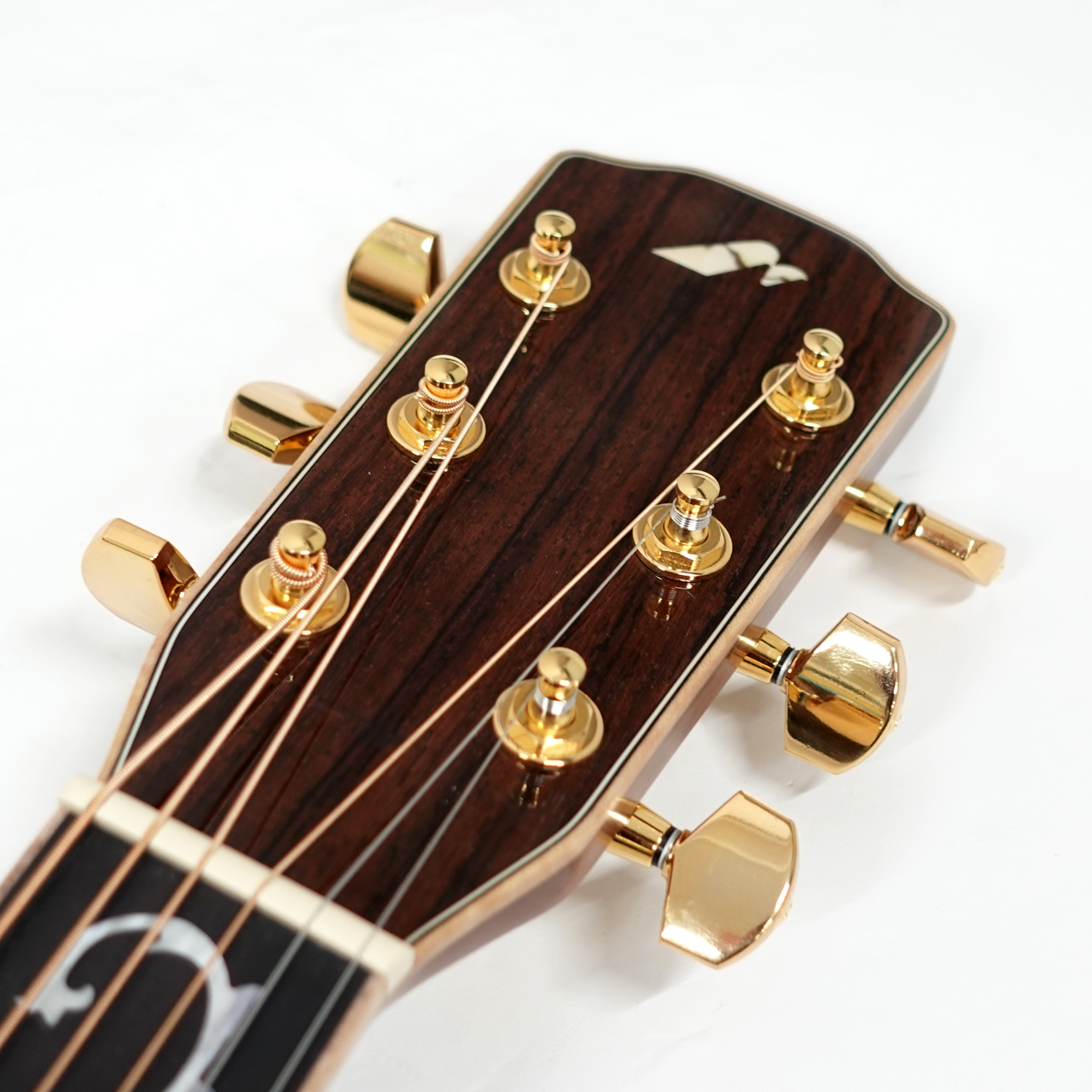 Morris アコースティックギター モデルW 楽天市場】Morris モーリス W-LTD BS 限定 日本製