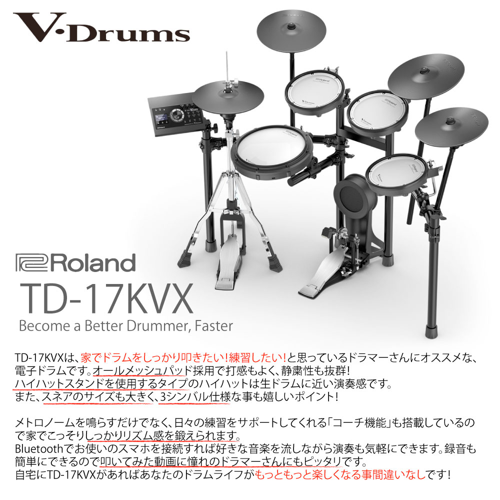 Roland PM-100 電子ドラム用アンプ　V-Drums ドラムアンプ Roland - PM-100 | Personal Monitor