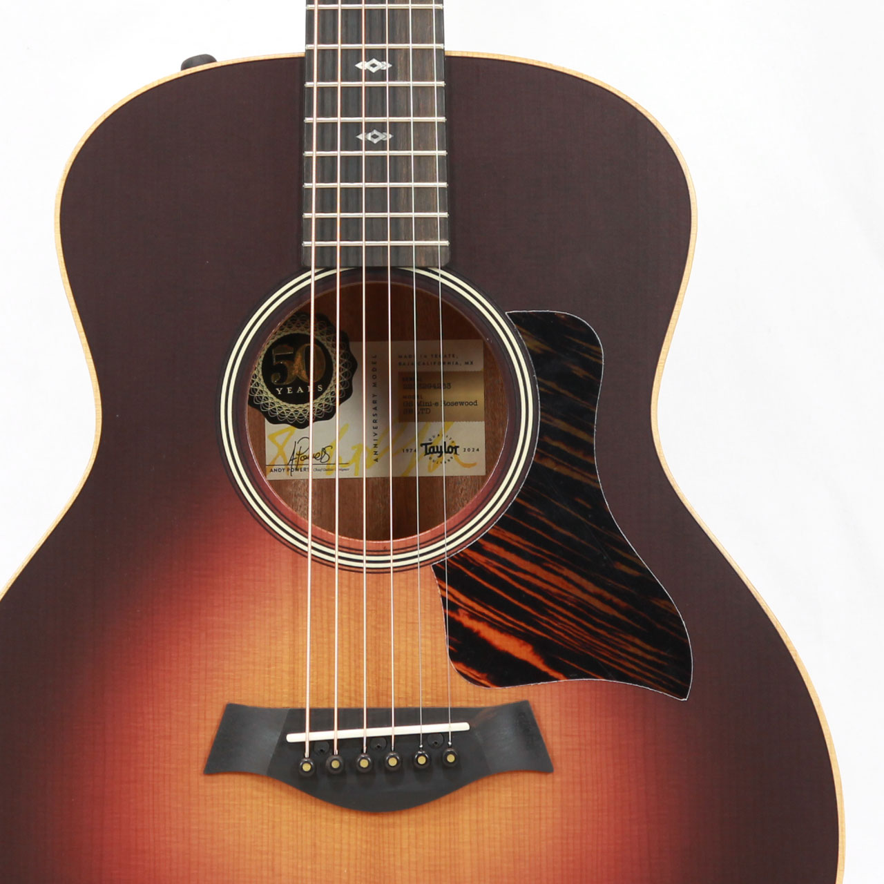 Taylor テイラー 50 Anniversary GS Mini-e Rosewood SB LTD