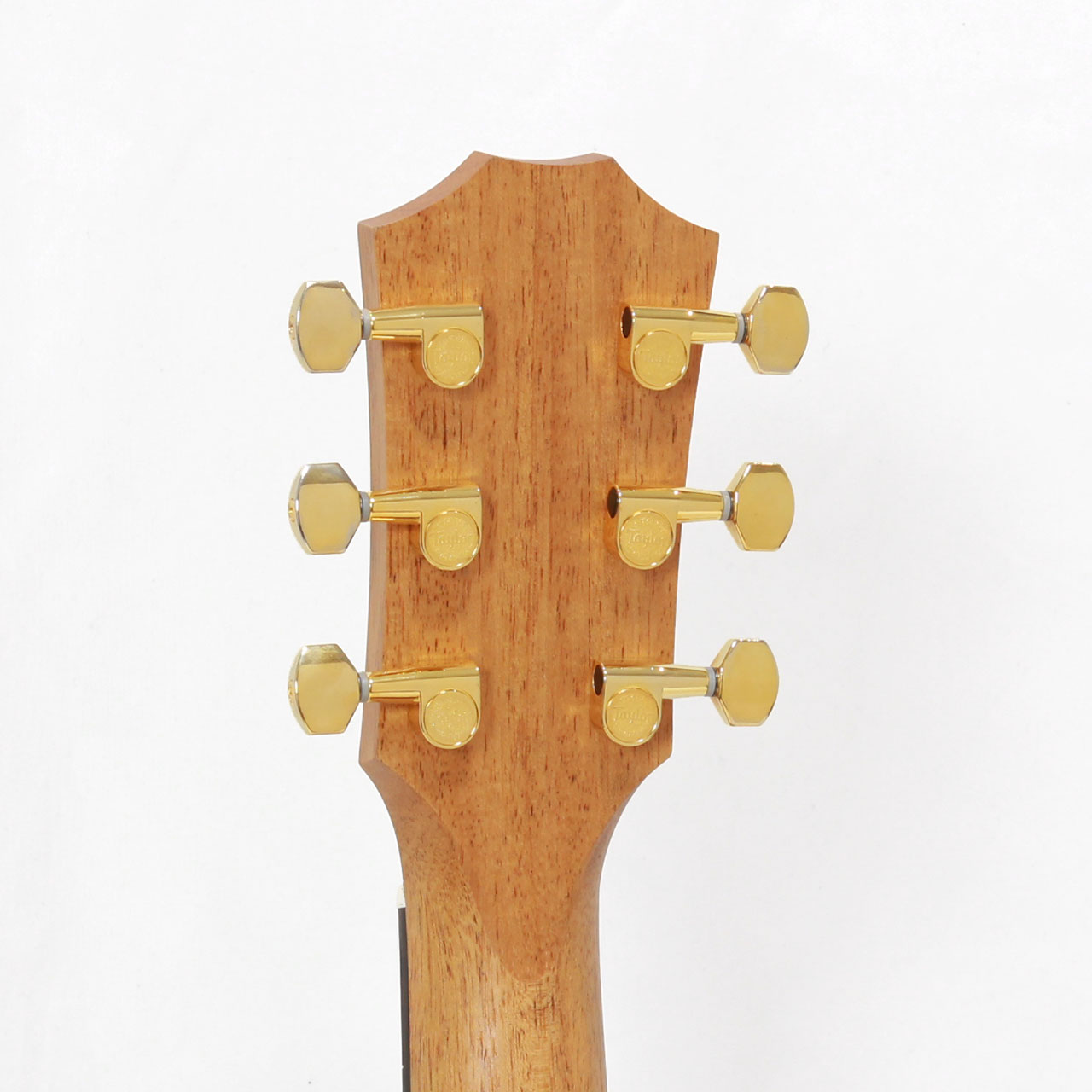 Taylor テイラー 50 Anniversary GS Mini-e Rosewood SB LTD