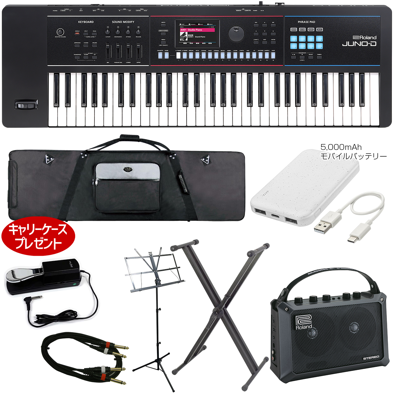 Roland ローランド JUNO-D6 ストリートライブ スタンディングプレイ