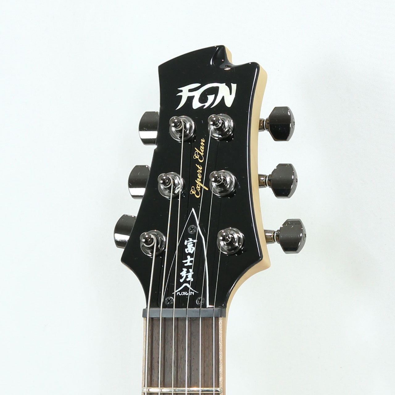 FgN フジゲン EEL(Expert ELAN)-FM / BCS(Black Cherry Sunburst