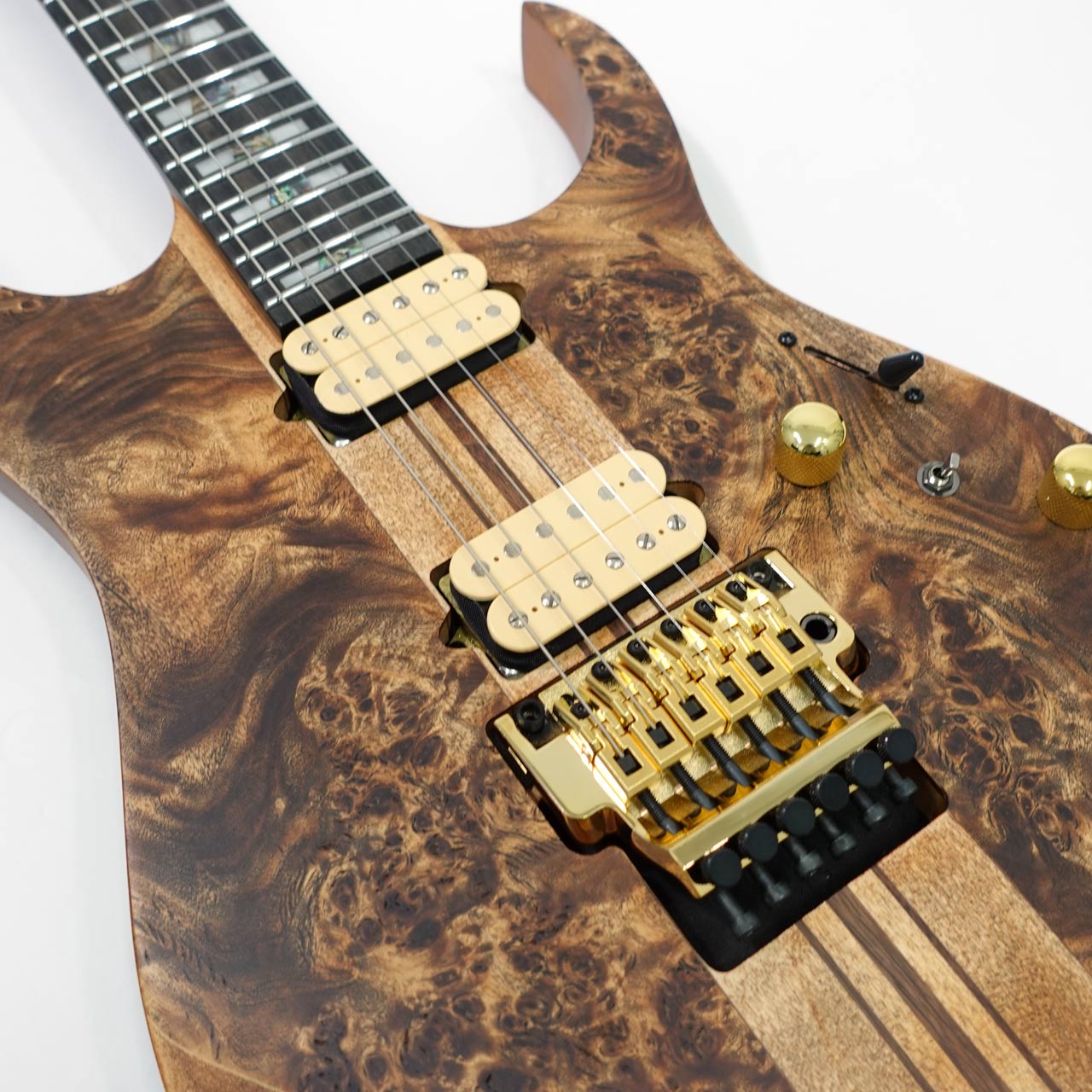 洋楽 SELBSTBETRUG Ibanez アイバニーズ RGT1220PB ABS スルーネックRG Antique Brown