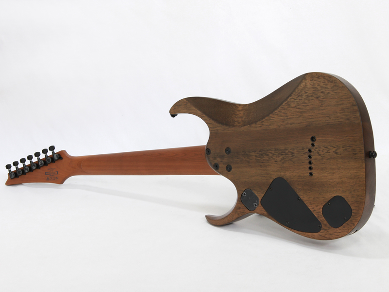 Ibanez RGD7521PB DSF 7弦 ギター Ibanez RGD7521PB-DSF – United States