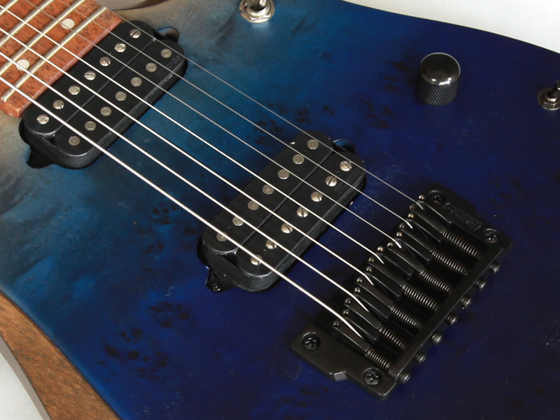 【本日まで値引】Ibanez / RGD7521PB-DSF 7弦ギター Ibanez ( アイバニーズ ) RGD7521PB-DSF 7弦ギター 送料無料