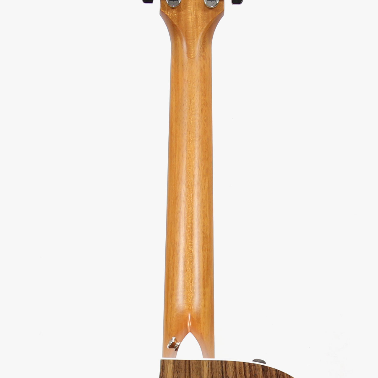 Taylor テイラー 412ce Rosewood V-Class | ワタナベ楽器店 京都本店