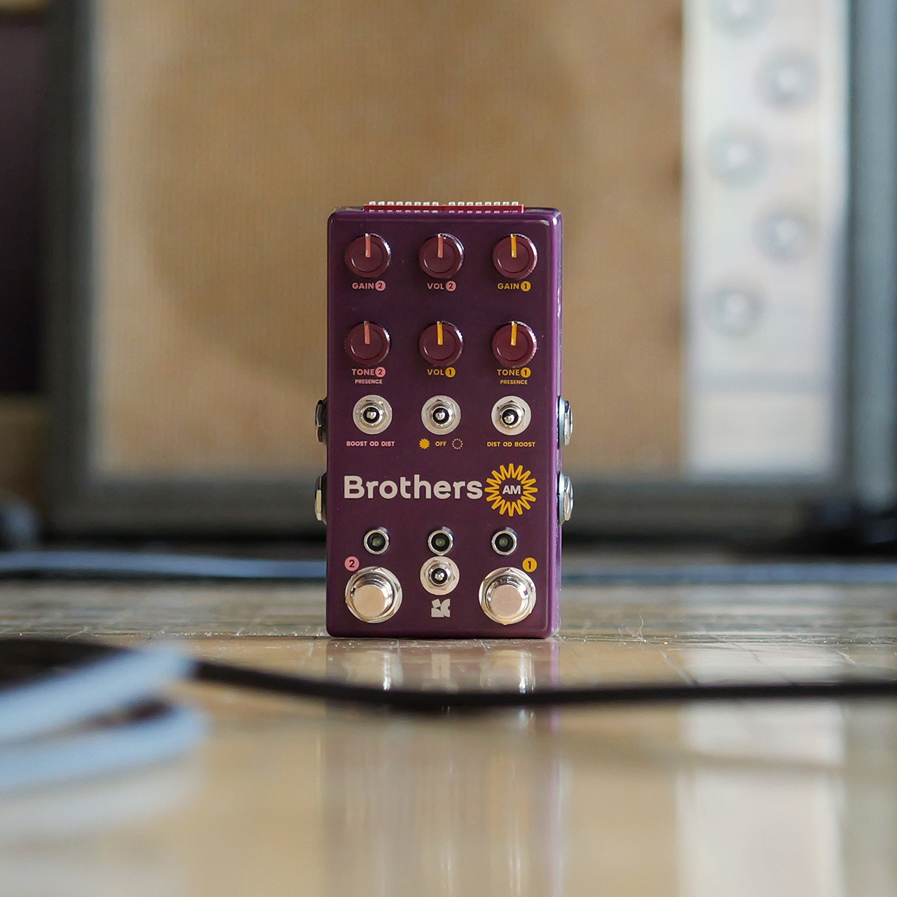 Chase Bliss Audio Brothers AM Twins of Tone | ワタナベ楽器店