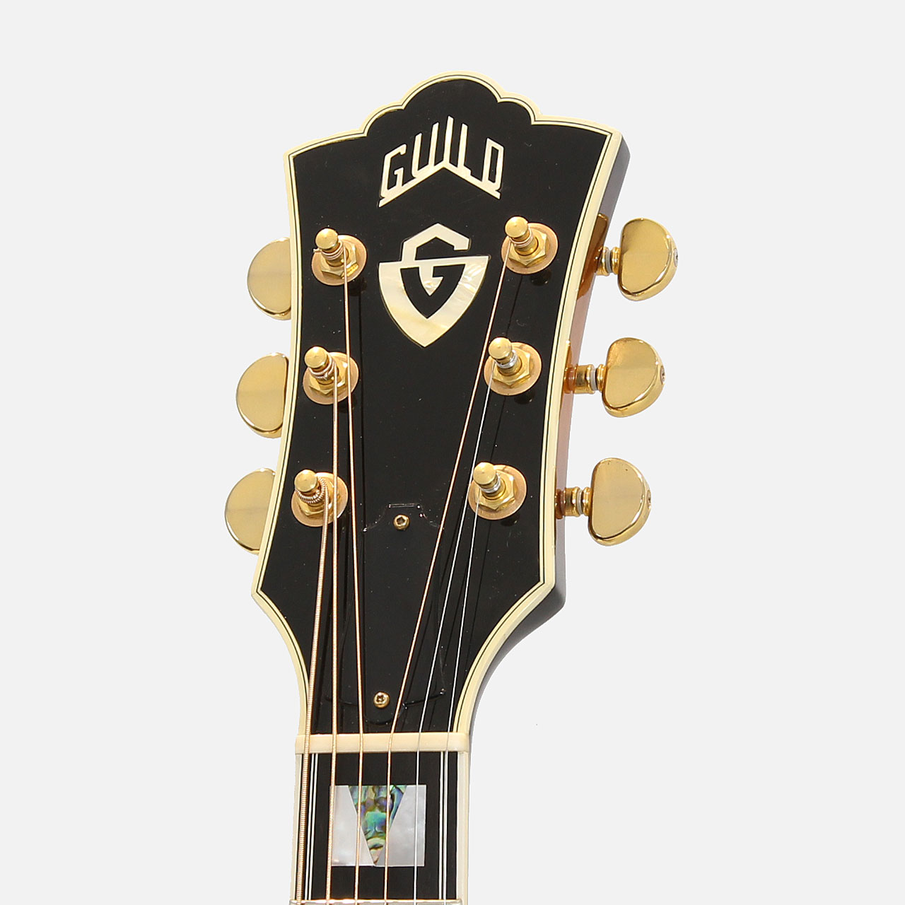 GUILD ギルド F-50 w/ L.R.Baggs Anthem *2007 | ワタナベ楽器店 京都本店