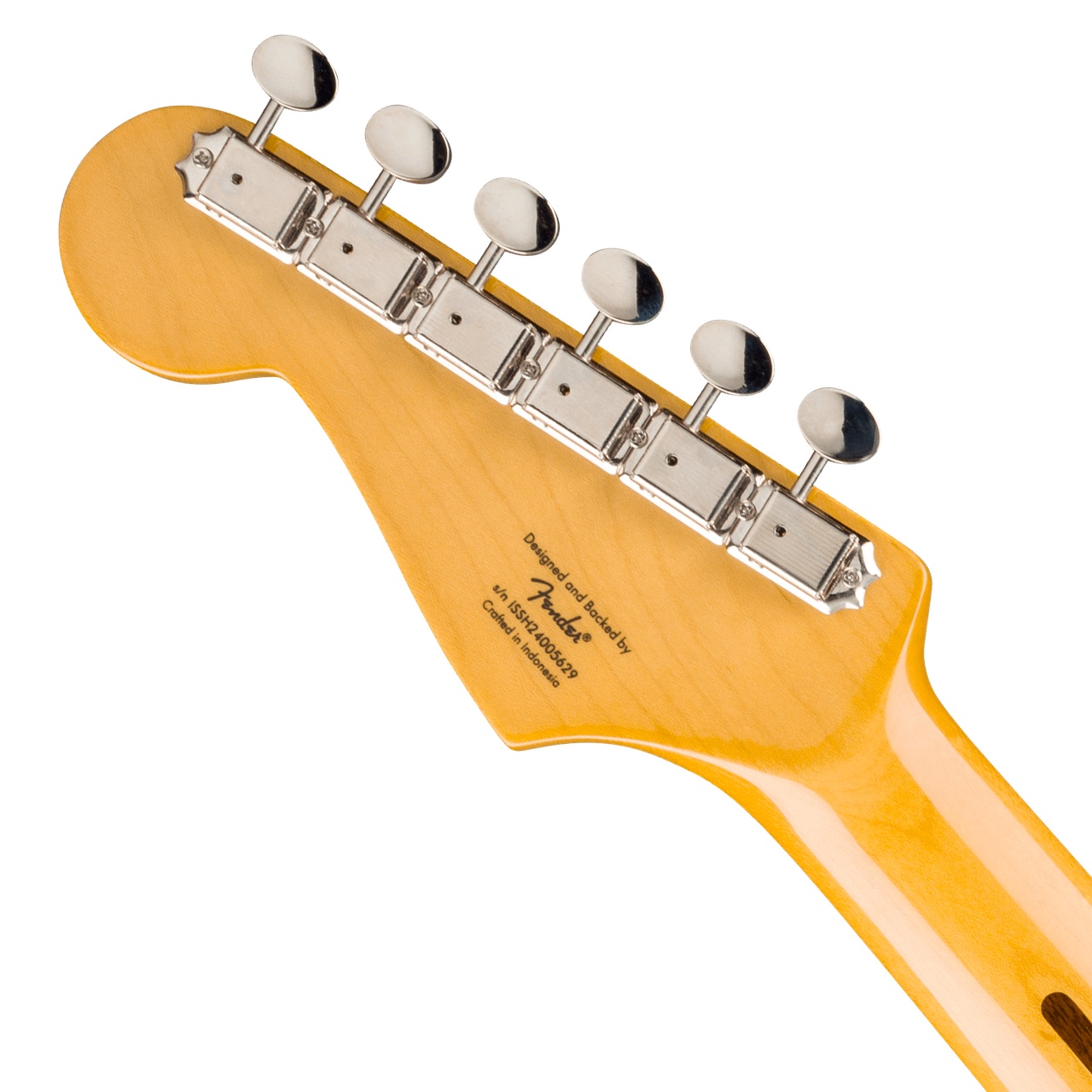 SQUIER スクワイヤー Classic Vibe 50s Stratocaster HT Shell