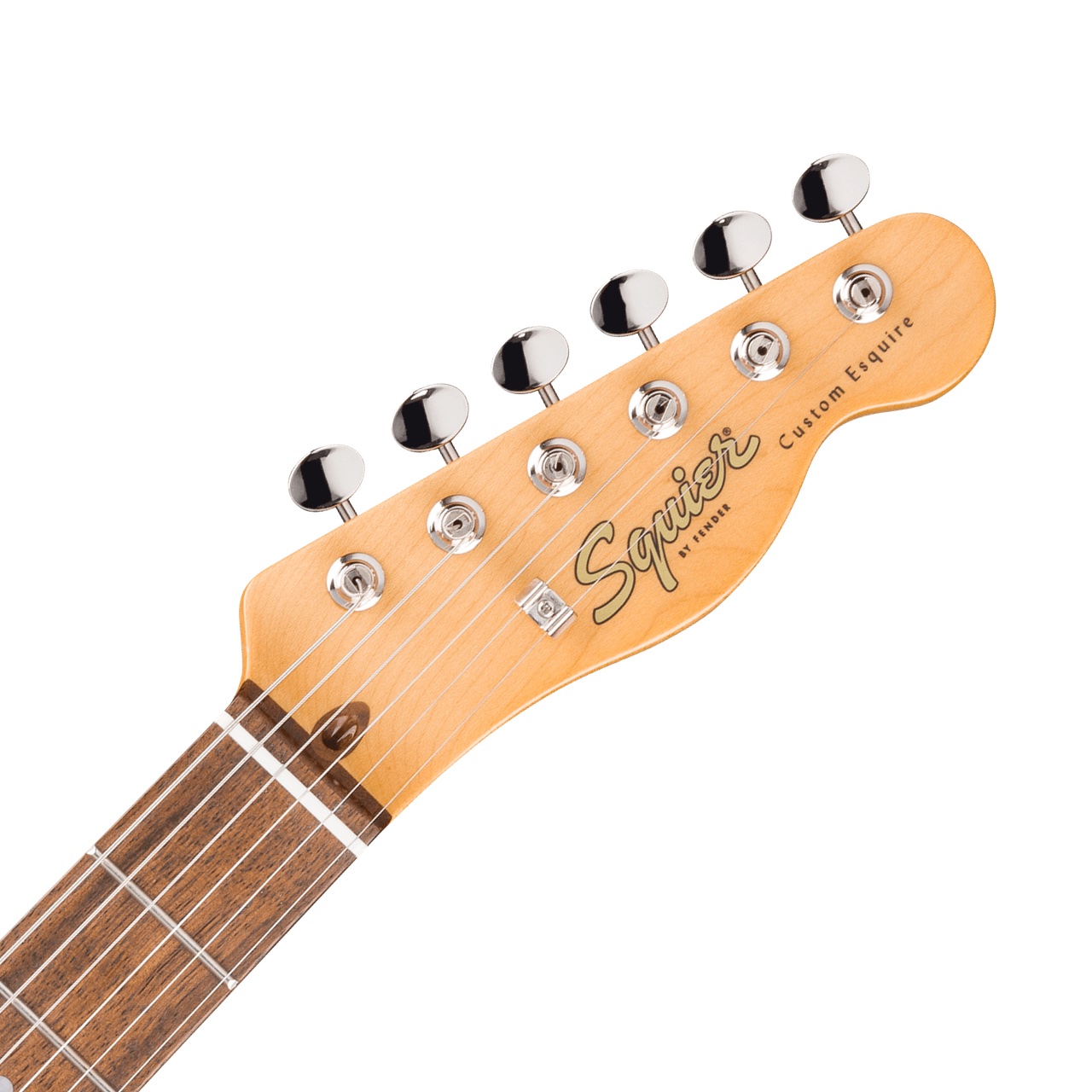 SQUIER スクワイヤー Classic Vibe Custom Esquire Sherwood Green