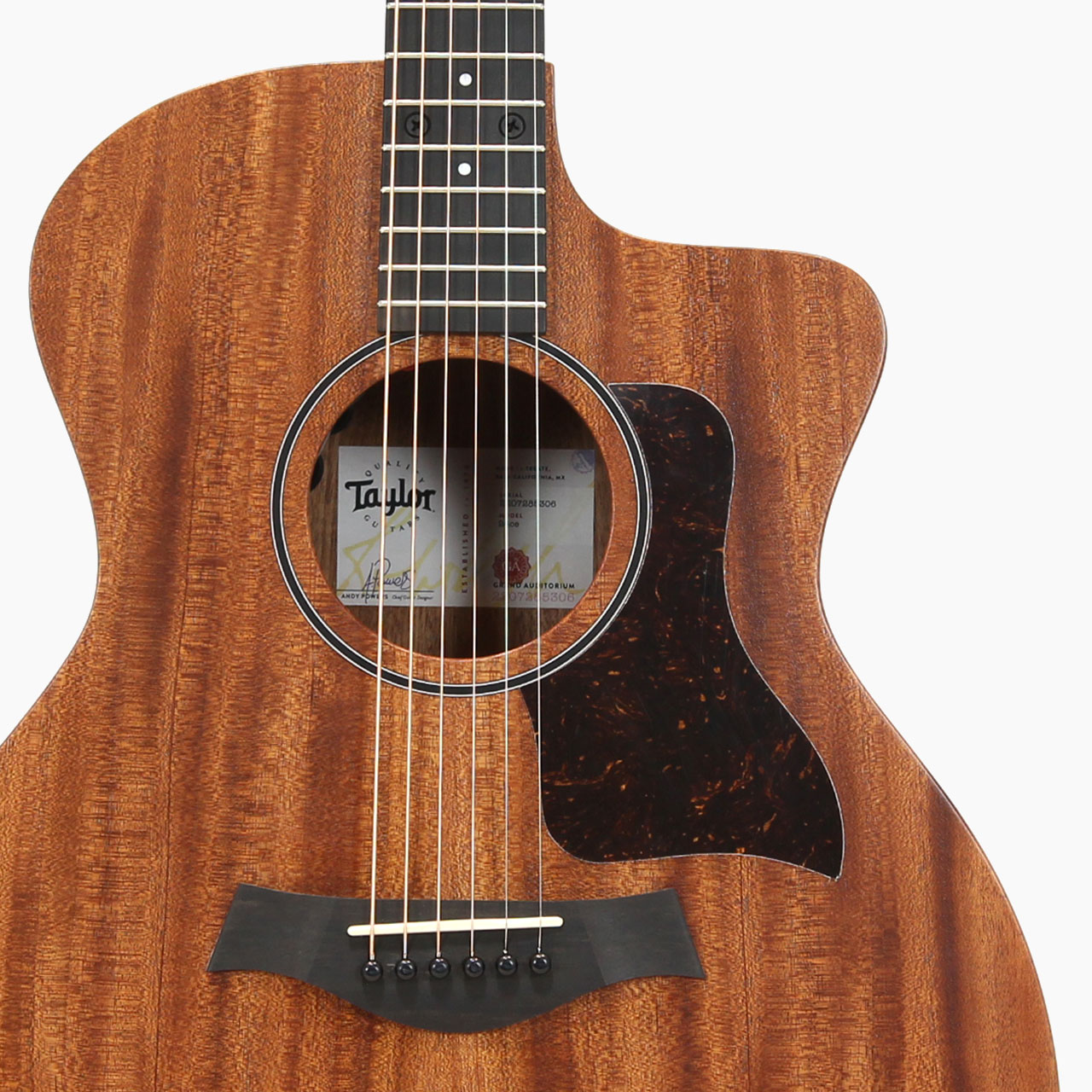 Taylor テイラー 24ce エレアコ コースティックギター 送料無料