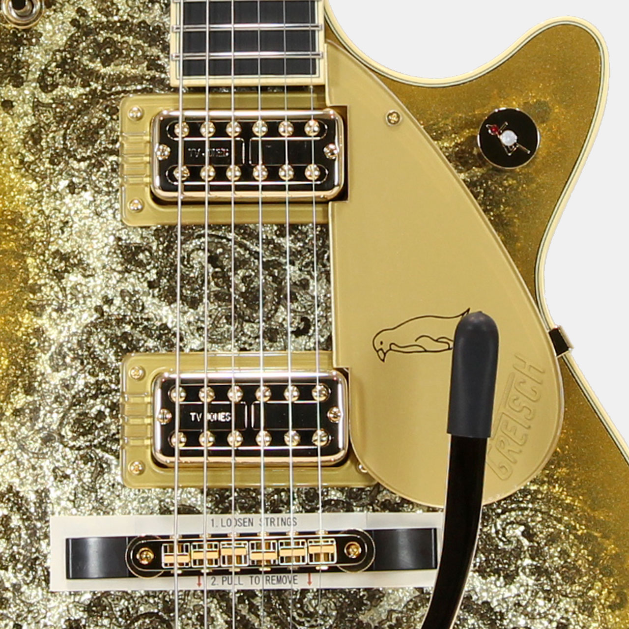 GRETSCH グレッチ G6134TG Limited Edition Paisley Penguin with