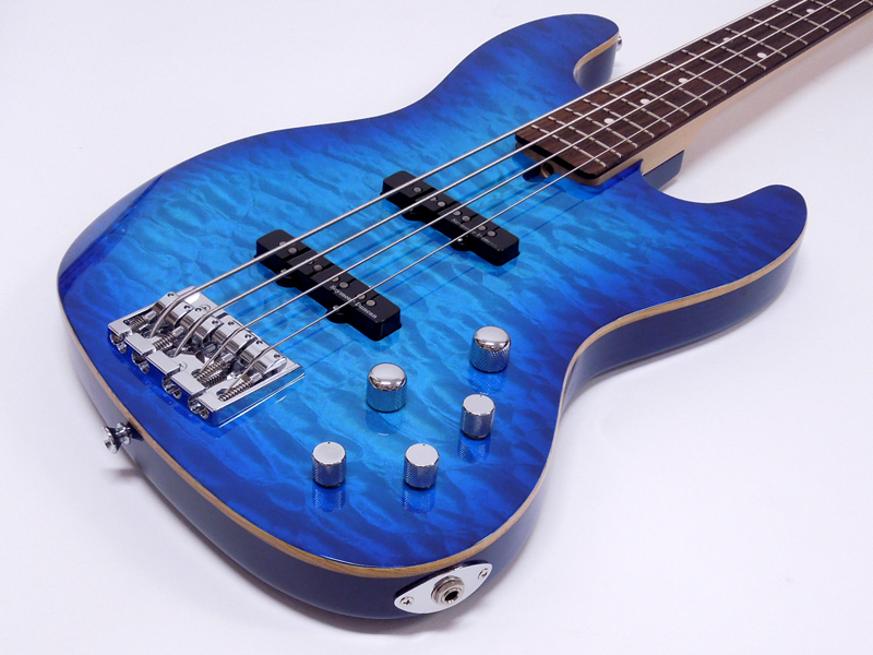 SCHECTER ( シェクター ) CB-2-CTM(AAB) 20%OFF! | ワタナベ楽器店 大阪店