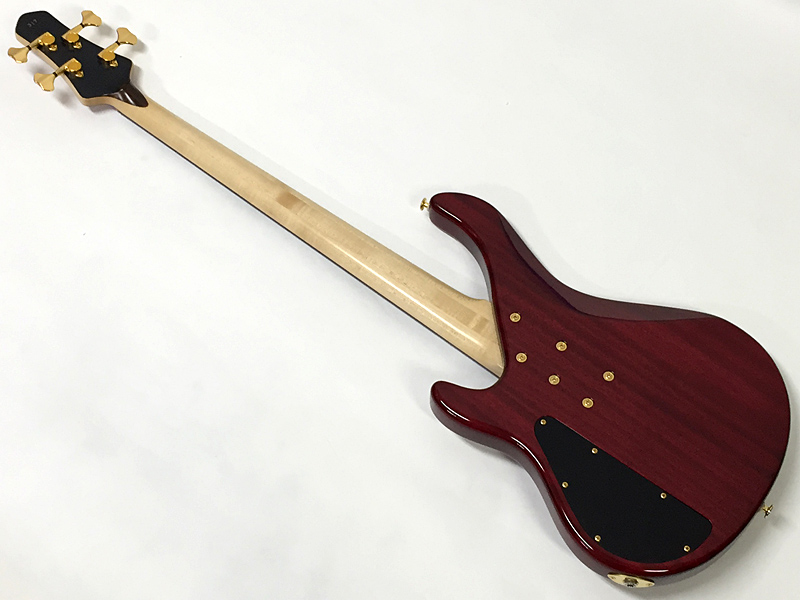 STR GUITARS LS449FL Faded Purple #317 | ワタナベ楽器店 大阪店
