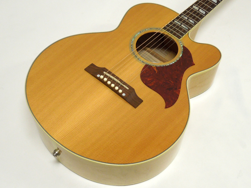 Gibson ( ギブソン ) J-165 EC Maple < Used / 中古品 > | ワタナベ