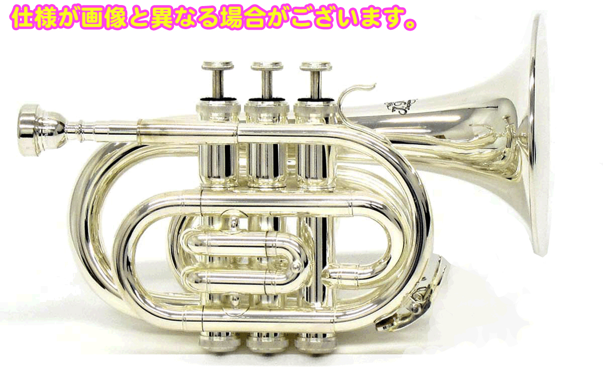 80268-2.jpg