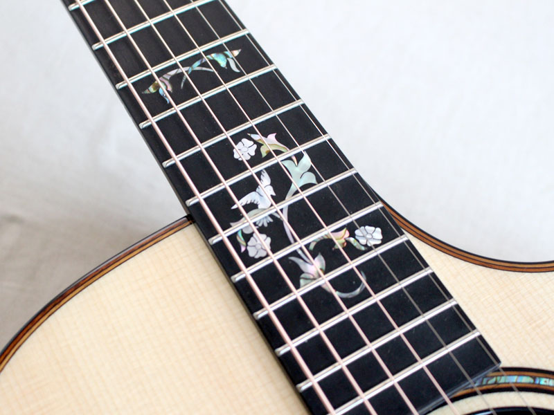 Taylor テイラー Custom GC Sasafras-Lutz 