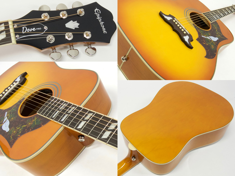 Epiphone ( エピフォン ) DOVE PRO AGスタートパック10点セット 