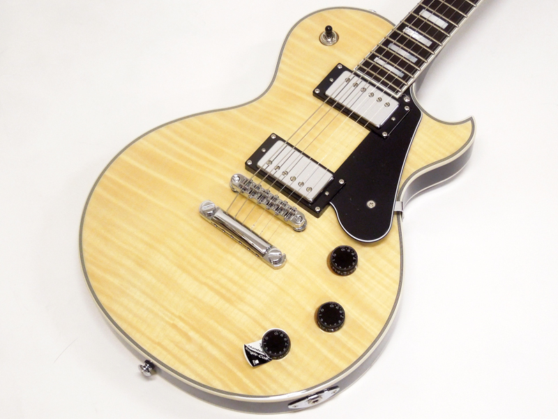 SCHECTER ( シェクター ) SOLO II CUSTOM(GNAT) (AD-SOLO-2-CTM 