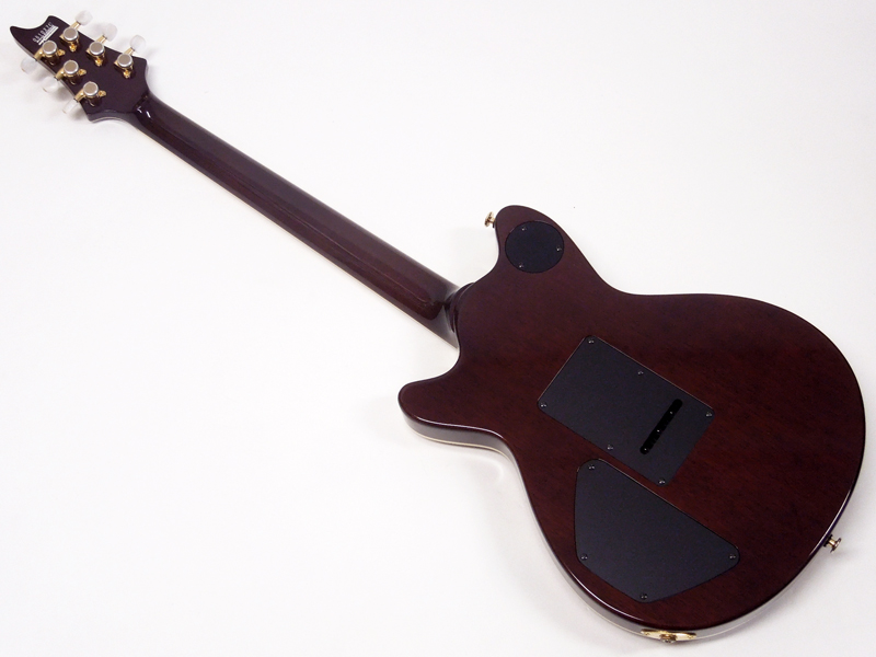 T's Guitars ARC Standard / Trans Brown < Used / 中古品