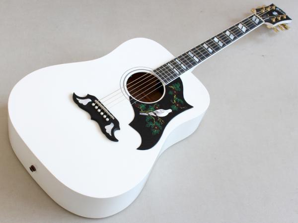 Gibson ( ギブソン ) LTD DOVE Alpine White