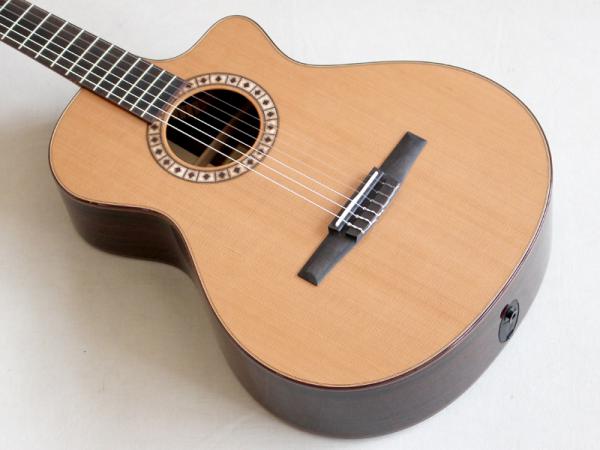 Taylor NS-72CE
