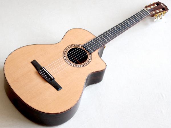 定番人気！ LTD JPN NS72ce テイラー Taylor | 京都本店 ワタナベ楽器店 ギター