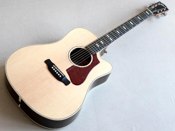 Gibson ギブソン Hummingbird Rosewood AG 2018