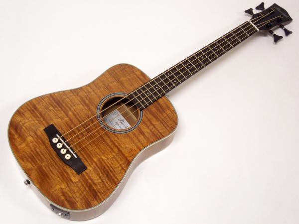 Bacchus】手軽にアコースティック・ベースのサウンドを楽しめる