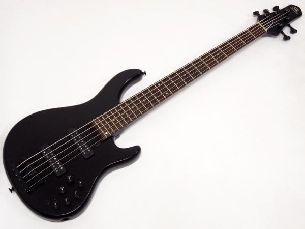 STR GUITARS LS5-ASH / Mountain Night Black