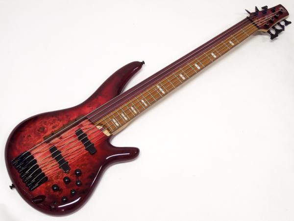 Ibanez ( アイバニーズ ) SRAS7-RSG Rasberry Stained Burst Gloss