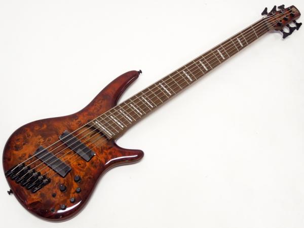 Ibanez ( アイバニーズ ) SRMS806 BTT