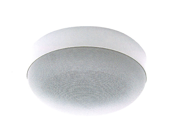 MASSIVE マッシブ OE-R160 ◆ 天井露出スピーカシステム