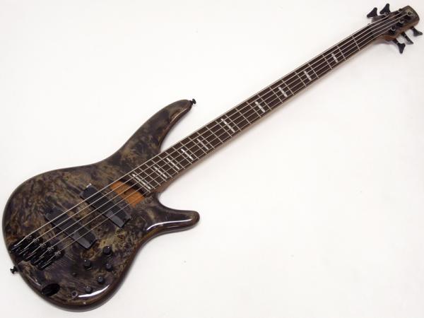 Ibanez ( アイバニーズ ) SRMS805 DTW マルチスケール 5弦ベース     