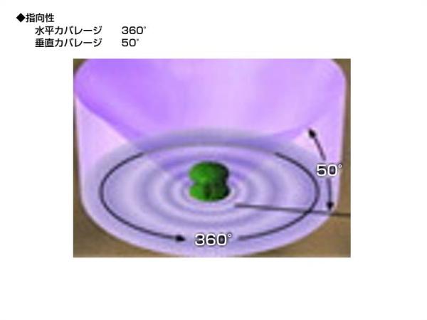 BOSE ボーズ FS360P-2 (1本) ◇ 全天候型スピーカー 送料無料