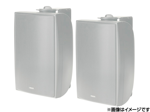 TANNOY タンノイ DVS4t W/ホワイト (ペア) ◇ フルレンジ TANNOY タンノイ DVS4t W/ホワイト (ペア) ◇ フルレンジ