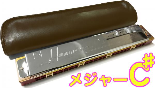 SUZUKI スズキ Humming-24 C♯ 24穴 複音ハーモニカ 高級スズキ ハミング 樹脂ボディ 楽器 長調 Cシャープ major Tremolo harmonica Humming 24 C ♯