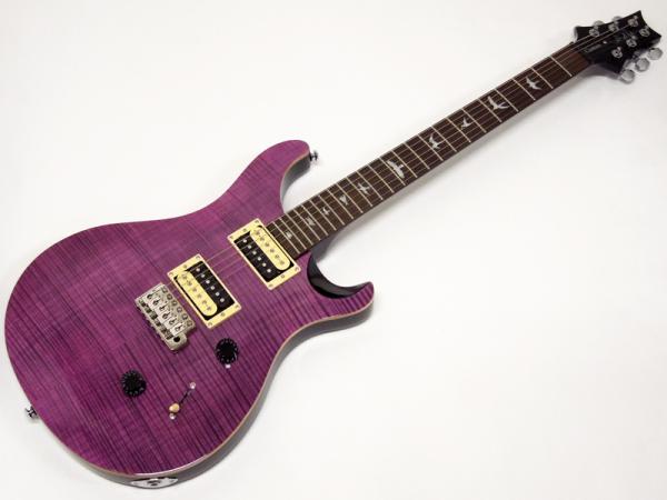 Paul Reed Smith /PRS ( ポール・リード・スミス ) SE CUSTOM 24 N / Amethyst