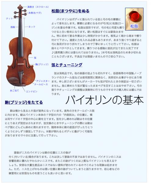 CarloGiordano カルロジョルダーノ 特注 ナイロン弦 EV-202 CarloGiordano カルロジョルダーノ 特注 ナイロン弦 EV-202