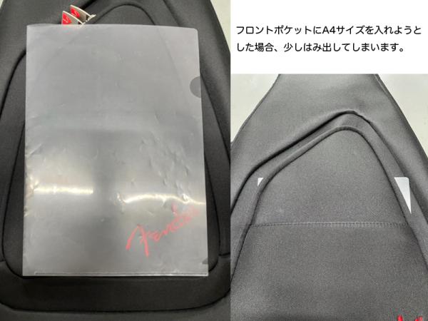 Fender gig bag fe620 online