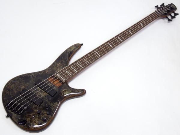 Ibanez ( アイバニーズ ) SRMS805 DTW