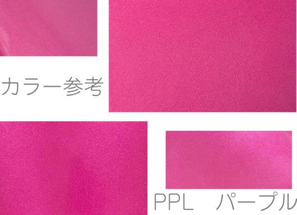 CCシャイニーケース II CC2-ATP-PPL エアロ トランペット用