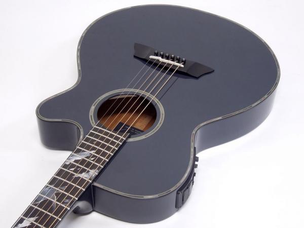 Takamine LTD 2019 Moon　タカミネ限定モデル Takamine Guitars :: product-details