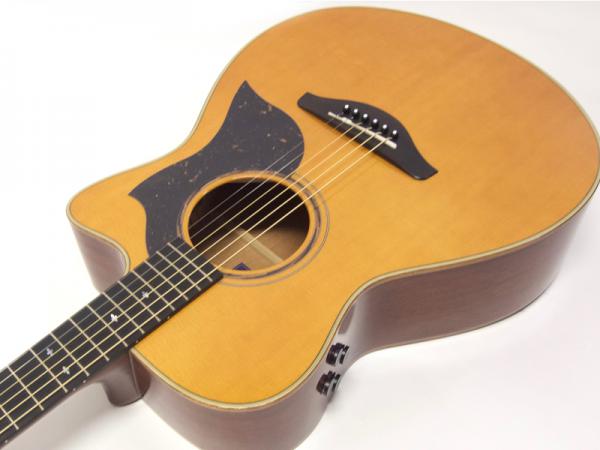 YAMAHA ヤマハ AC5M ARE VN 【国産 アコースティックギター エレアコ