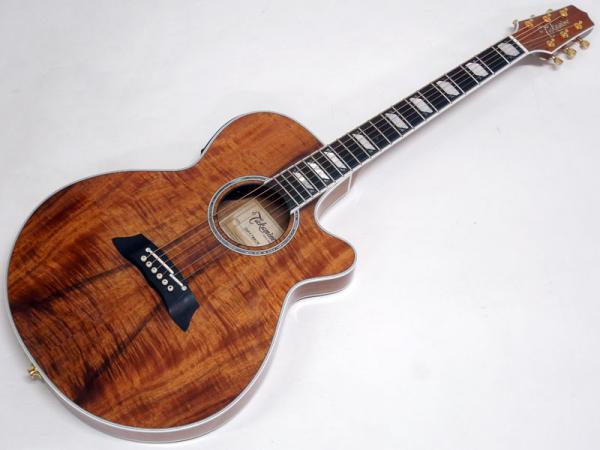 TAKAMINE ( タカミネ ) TSP178ACK N