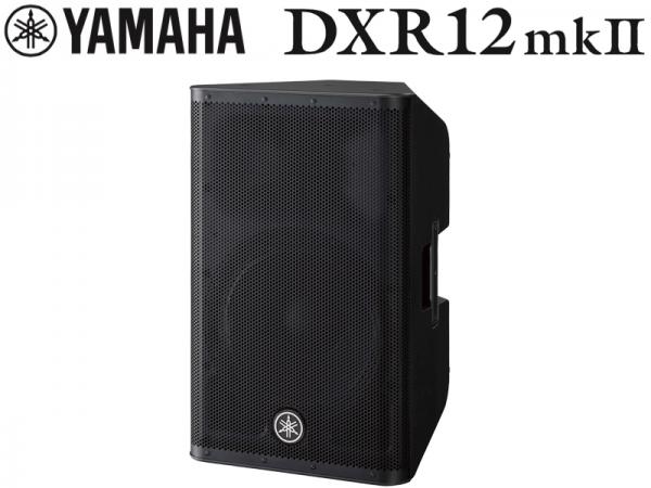 Yamaha DXR12 専用