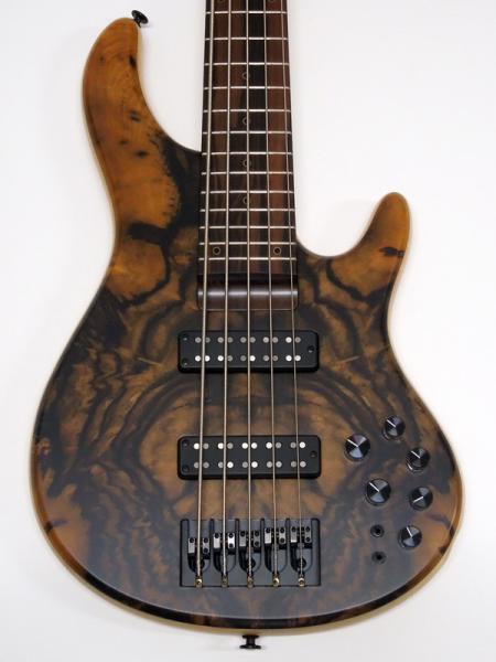 STR GUITARS LS549 #492 | ワタナベ楽器店 大阪店