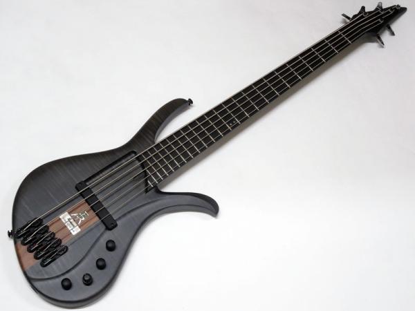 Ibanez ( アイバニーズ ) AFR5FMP-TGF (Transparent Gray Flat)